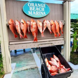 Orange Beach Marina - Orange beach
