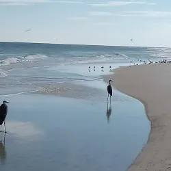 Perdido Key State Park - Orange beach