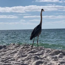 Perdido Key State Park - Orange beach