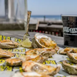 The Flora-Bama Lounge & Package - Orange beach