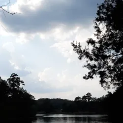 Lake Harris Park - Roanoke