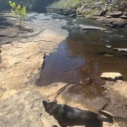 Lake Harris Park - Roanoke