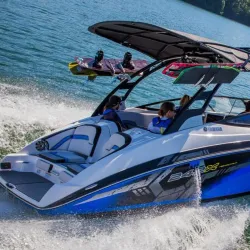 Lake Wedowee Marina - Roanoke