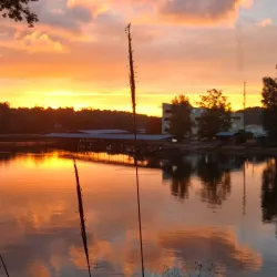 Lake Wedowee Marina - Roanoke