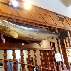 Randolph County Historical Museum - Roanoke