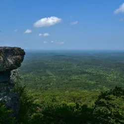 Talladega National Forest (nearby) - Roanoke