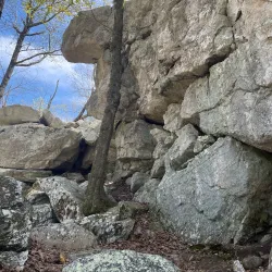 Talladega National Forest (nearby) - Roanoke