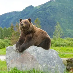 Alaska Wildlife Conservation Center - Anchorage