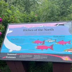 Earthquake Park - Anchorage