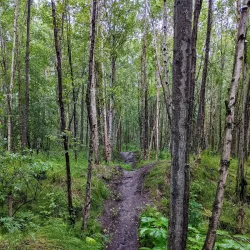 Earthquake Park - Anchorage