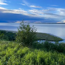 Earthquake Park - Anchorage