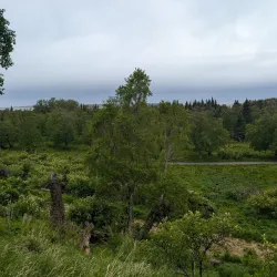 Kincaid Park - Anchorage