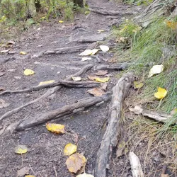 Tony Knowles Coastal Trail - Anchorage