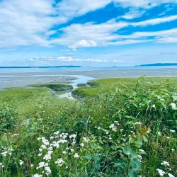Tony Knowles Wilderness Trail - Anchorage