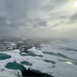 Point Barrow - Barrow