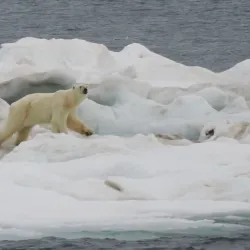 Point Barrow - Barrow