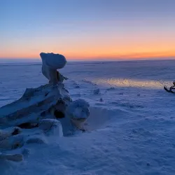 Point Barrow - Barrow