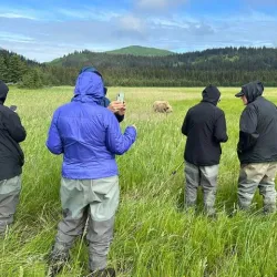 Polar Bear Viewing Areas - Barrow