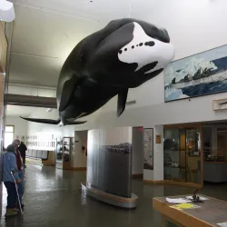 Utqiaġvik Community Museum - Barrow