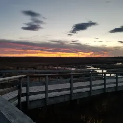 Bethel Public Library - Bethel