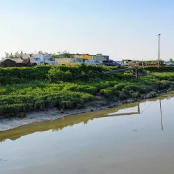 Bristol Bay - Dillingham