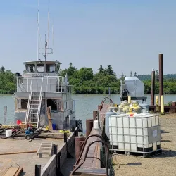 Bristol Bay - Dillingham