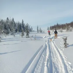 Bristol Bay - Dillingham