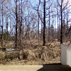 Bristol Bay - Dillingham