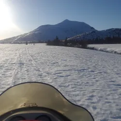 Bristol Bay - Dillingham