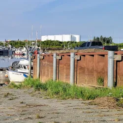 Bristol Bay - Dillingham