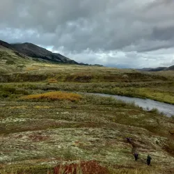 Togiak National Wildlife Refuge - Dillingham