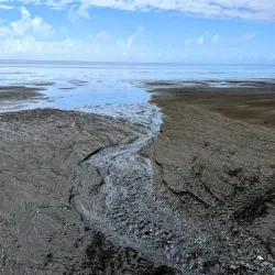 Togiak National Wildlife Refuge - Dillingham