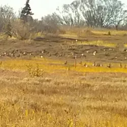 Togiak National Wildlife Refuge - Dillingham