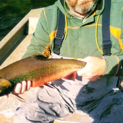 Wood River Lakes - Dillingham