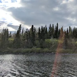 Wood River Lakes - Dillingham