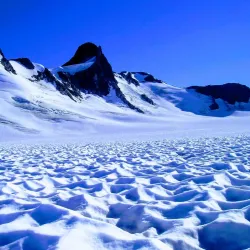 Alaska Dog Sledding - Fairbanks