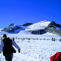 Alaska Dog Sledding - Fairbanks