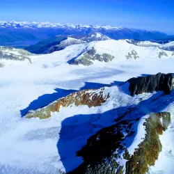 Alaska Dog Sledding - Fairbanks