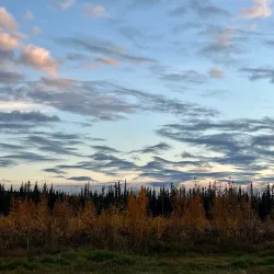 Alaska Dog Sledding - Fairbanks