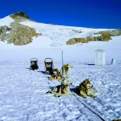 Alaska Dog Sledding - Fairbanks