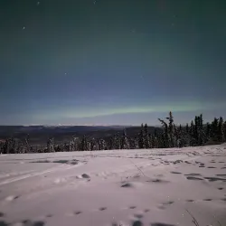 Aurora Borealis Viewing - Fairbanks