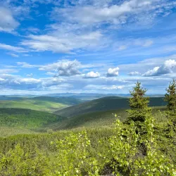 Aurora Borealis Viewing - Fairbanks