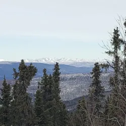 Aurora Borealis Viewing - Fairbanks