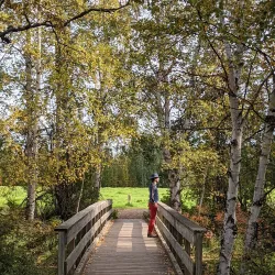 Creamer’s Field Migratory Waterfowl Refuge - Fairbanks
