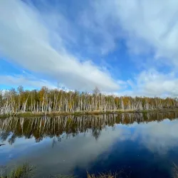 Creamer’s Field Migratory Waterfowl Refuge - Fairbanks