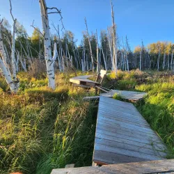 Creamer’s Field Migratory Waterfowl Refuge - Fairbanks
