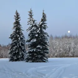 Creamer’s Field Migratory Waterfowl Refuge - Fairbanks