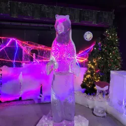 Fairbanks Ice Museum - Fairbanks