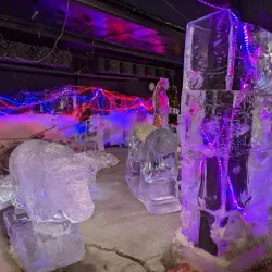 Fairbanks Ice Museum - Fairbanks