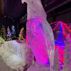 Fairbanks Ice Museum - Fairbanks